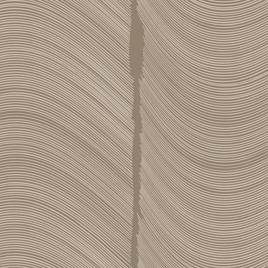Обои флизелиновые  "Maree" производства Loymina, арт. BR4 002/2, коричневого цвета, с абстрактным волнообразным рисунком , купить в шоу-руме Одизайн в Москве